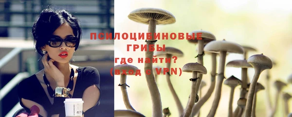 ешки Алексеевка