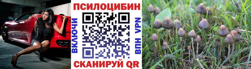 наркота  Гурьевск  кракен маркетплейс  Псилоцибиновые грибы ЛСД 